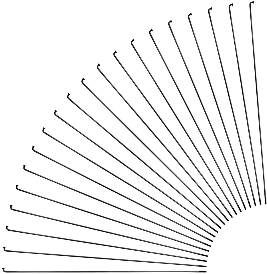 Sapim Race J-Bend Speichen Für Rohloff + Nippel - 20 Stück 2 Sapim Race J-Bend Speichen Für Rohloff + Nippel - 20 Stück