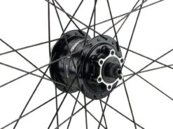 Mountain Alivio Disc 6-Loch DT Swiss 466d 29" Laufradsatz -Fahrradzubehör Rabatt 399626