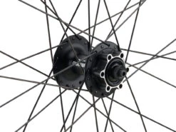 Mountain Alivio Disc 6-Loch DT Swiss 466d 29" Laufradsatz -Fahrradzubehör Rabatt 399633